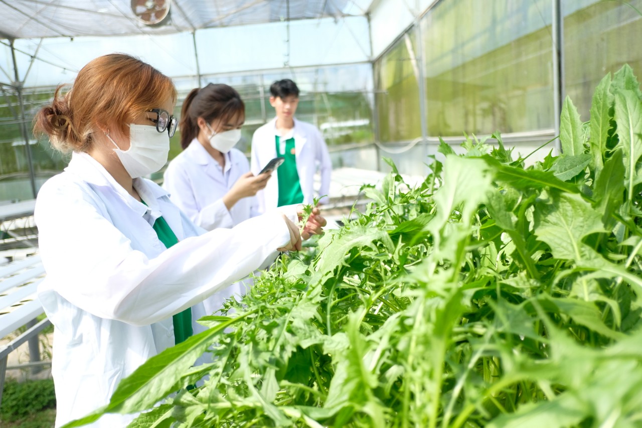Nông nghiệp công nghệ cao